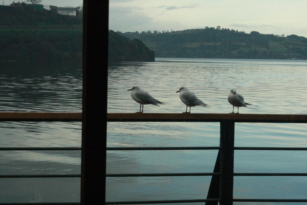 Hotel Palafito 1326 Boutique Chiloe 3*